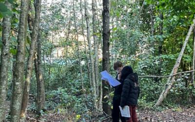 Des balades en forêt pour apprendre à reconnaître les essences des arbres.