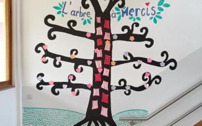 Un « arbre à mercis » a poussé dans notre école primaire !