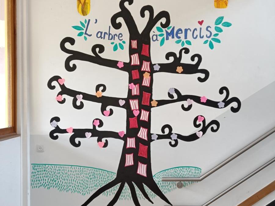 Un “arbre à mercis” a poussé dans notre école primaire !