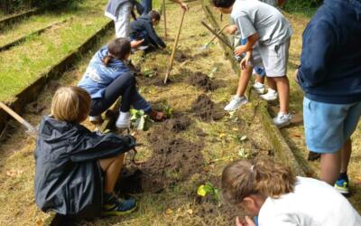 Premières plantations au jardin …