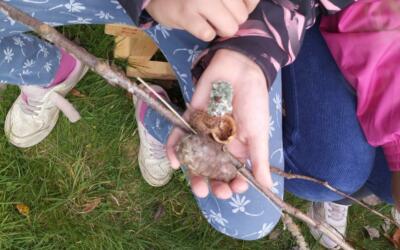 Les P4A sur les traces visibles de l’automne