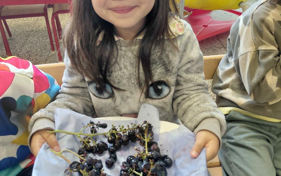 Visite d’un verger et cueillette d’automne