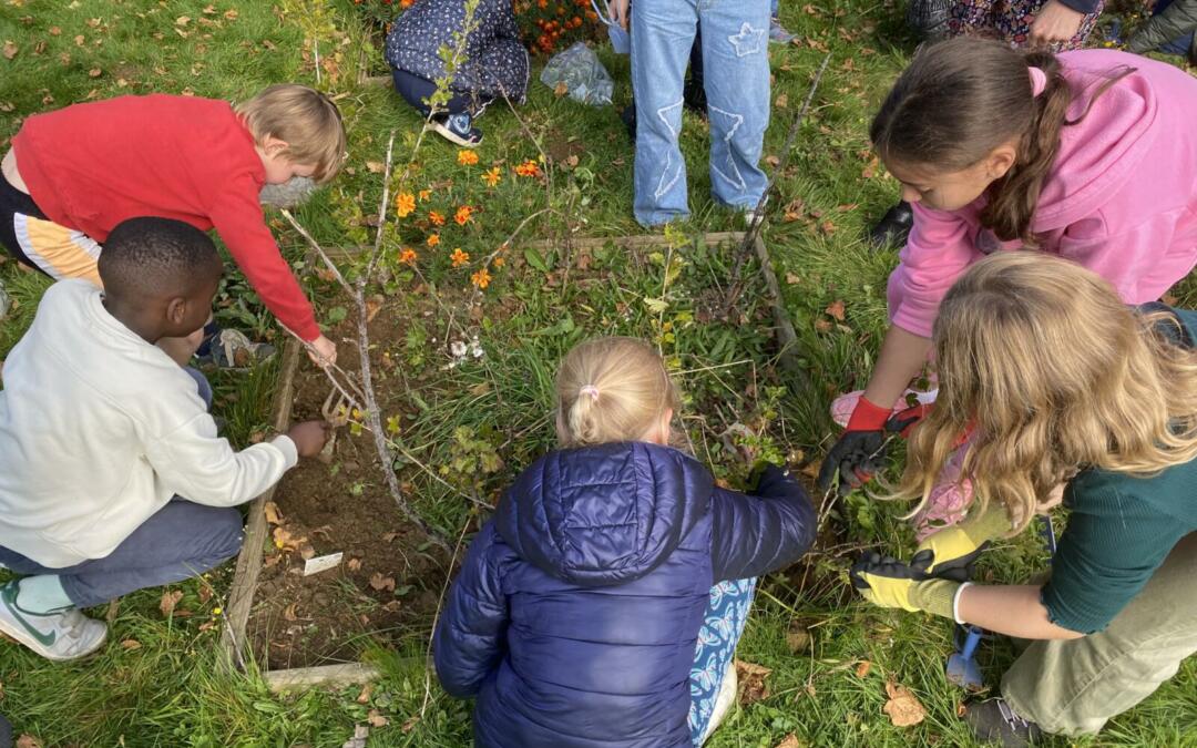 Notre potager soigné aux petits oignons