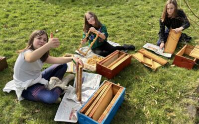 Avant de pouvoir récolter du miel, il faut préparer les ruches!